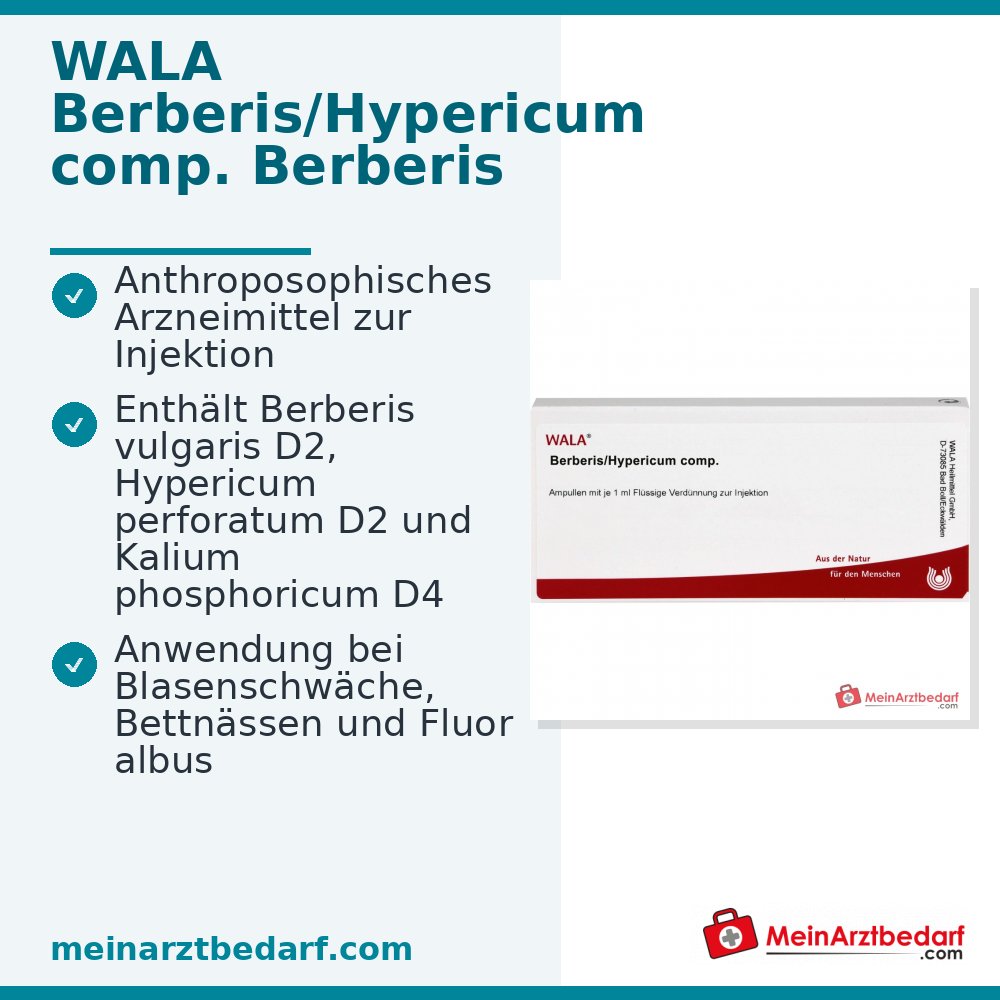 Fiale WALA Berberis/Hypericum comp., 10 x 1 ml