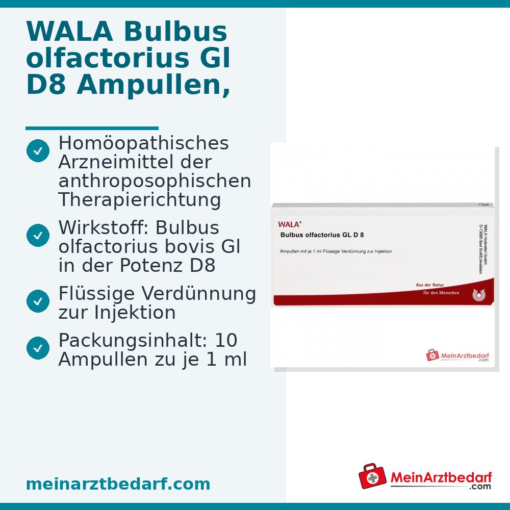 WALA Bulbus olfactorius Gl D8 fiale, 10 x 1 ml