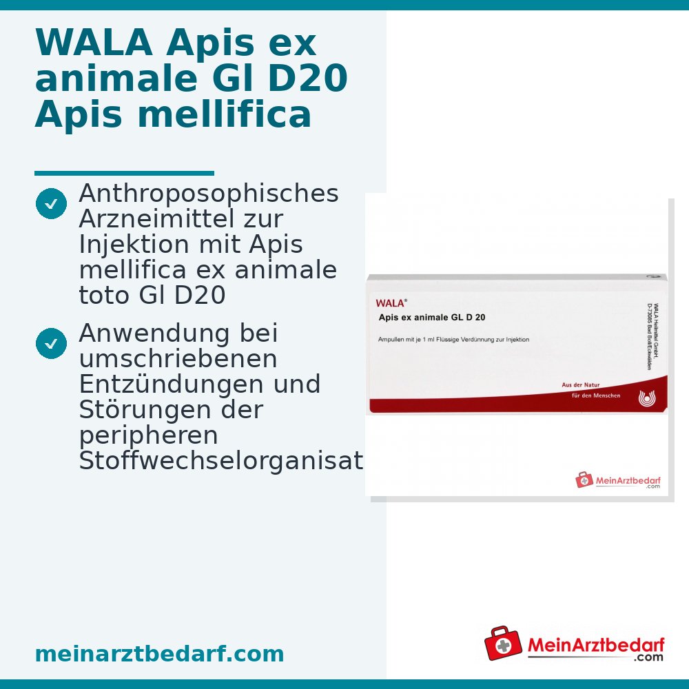 WALA Apis ex animal Gl D20 Apis mellifica ex animal entier Ampoules, 10 x 1 ml