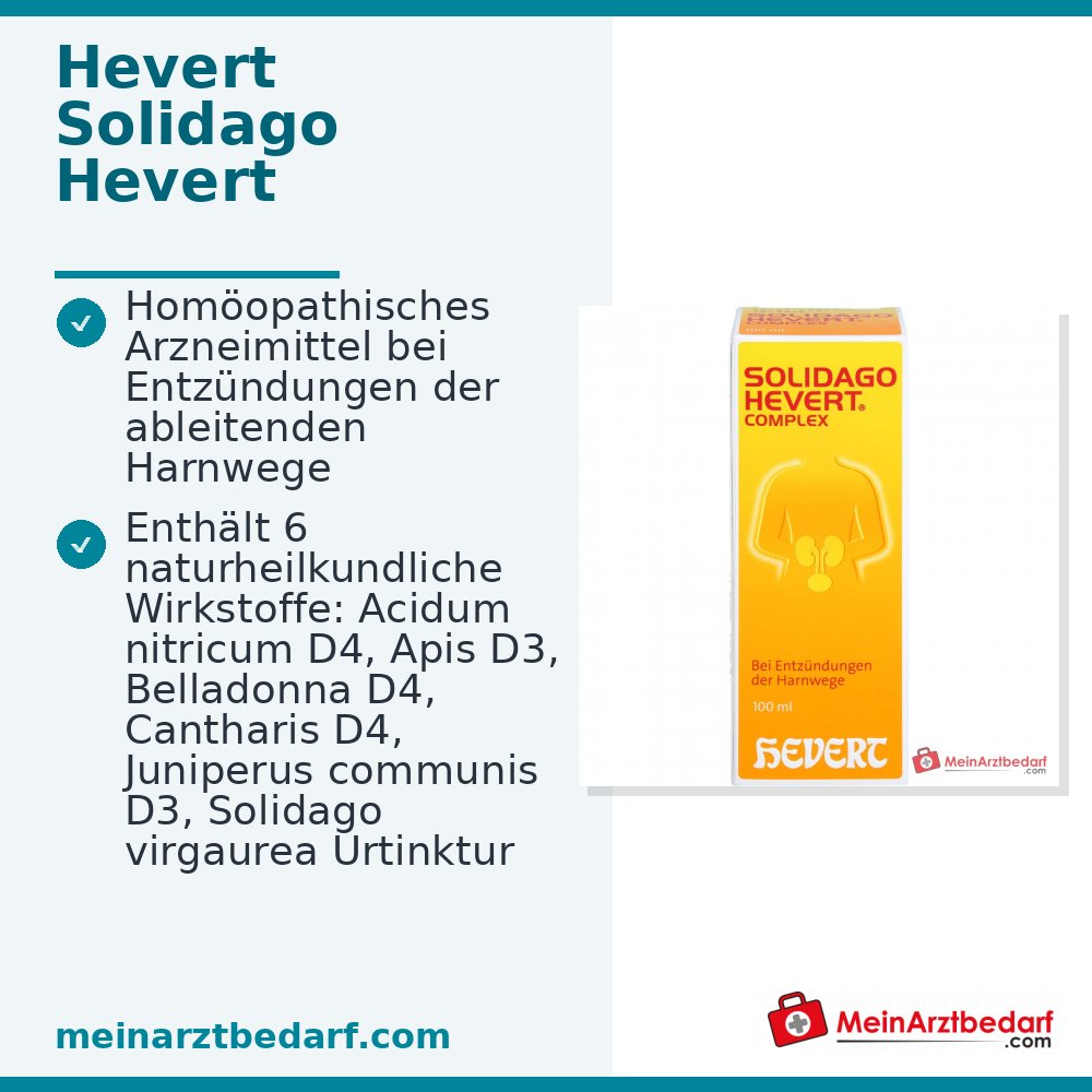 Hevert Solidago Complex Tropfen, 100 ml
