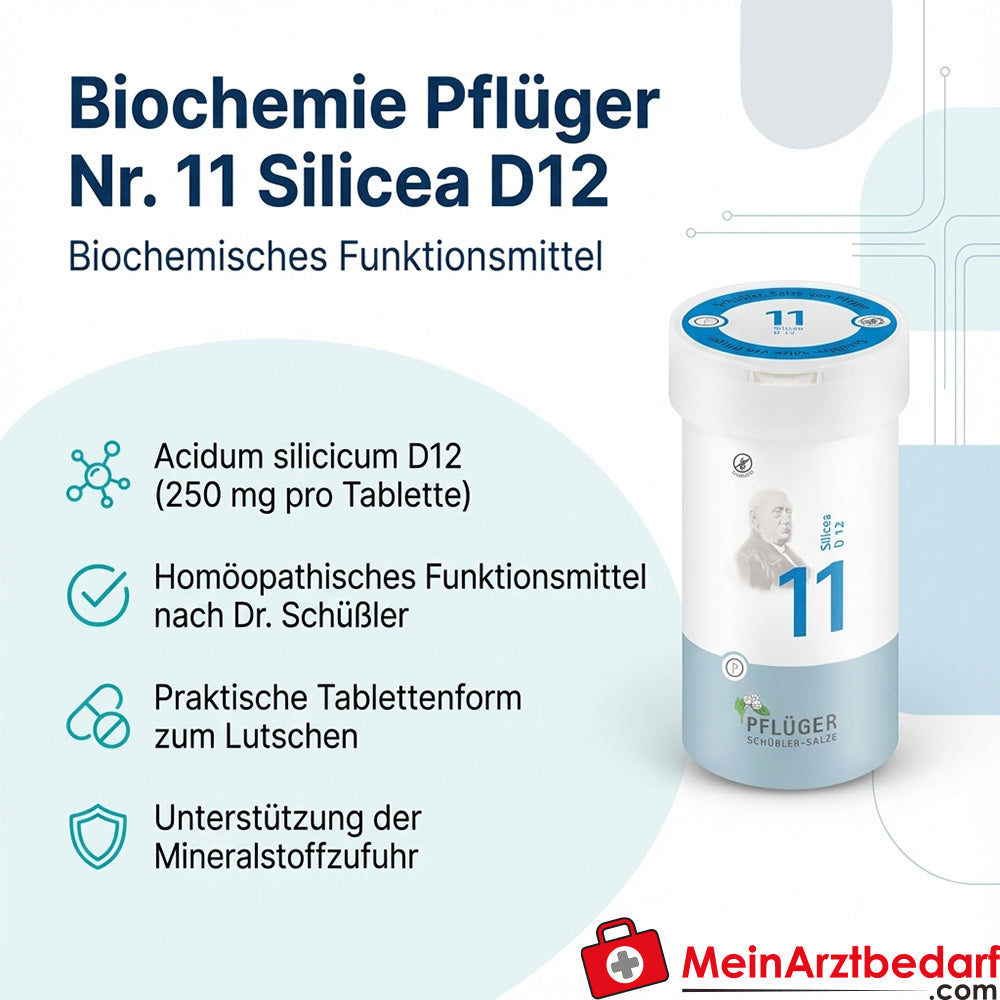Biochemie Pflüger Nr. 11 Silicea Acidum silicicum D12 Tabletten, 100 St.