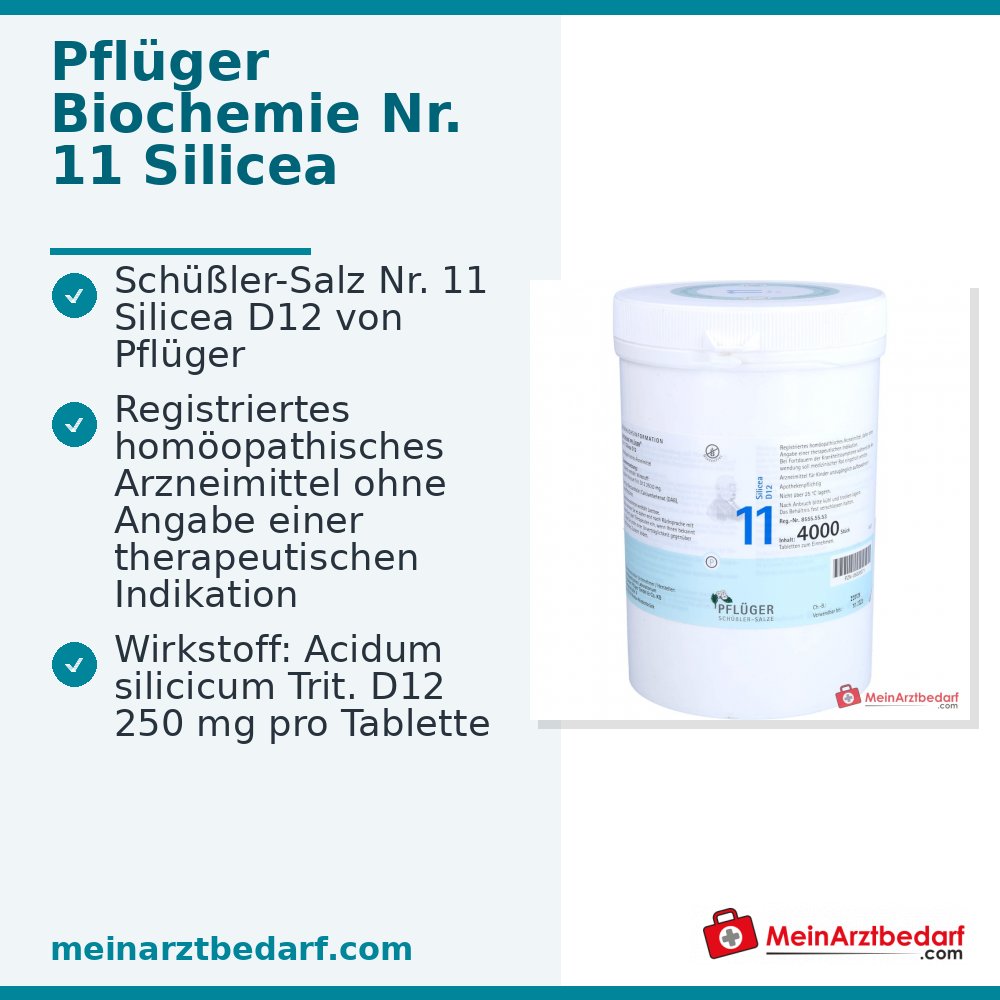 Biochemie Pflüger Nr. 11 Silicea Acidum silicicum D12 Tabletten, 100 St.