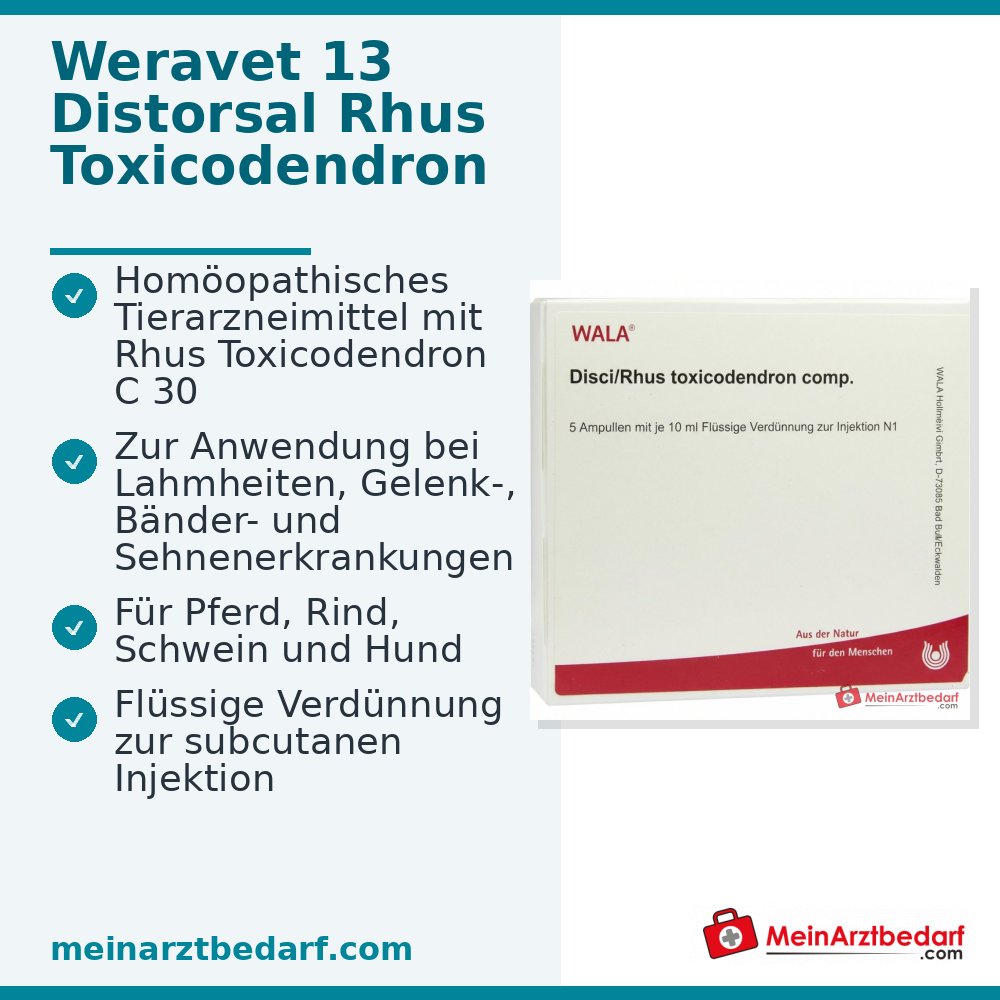 Distorsaal 13 dierenarts Rhus toxicodendron Dil. C30 Injectieampullen 4×10×2 ml