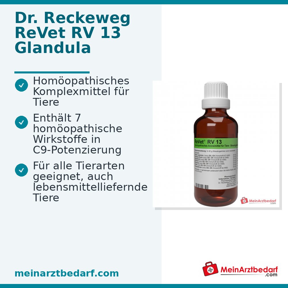 Dr Reckeweg ReVet RV 13 Globuli dierenarts 42 g