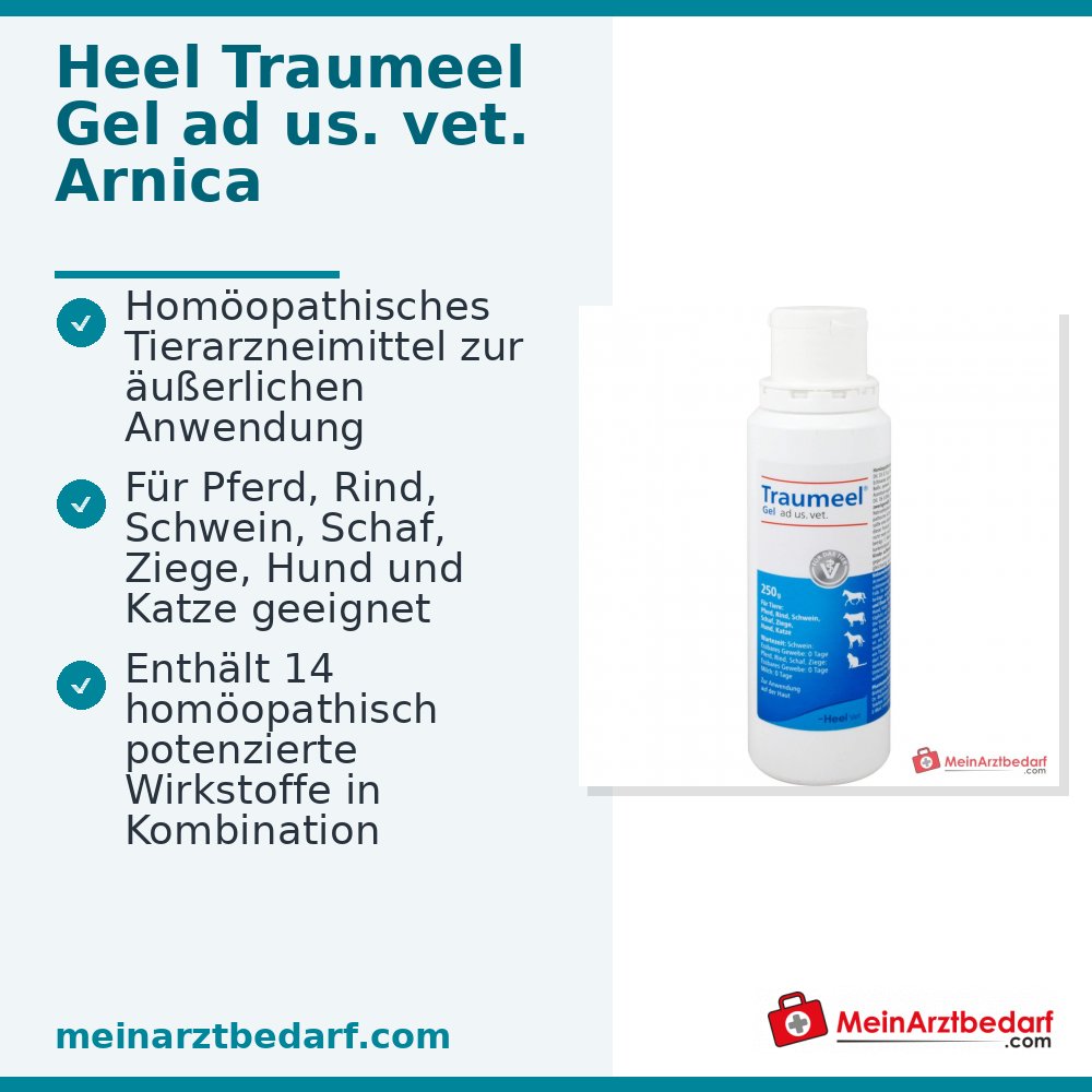 Traumeel Gel ad us. veter. medicamento homeopático 250 g