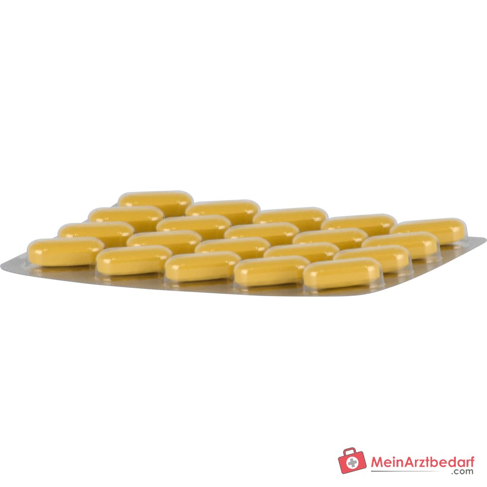 Dr. Willmar Schwabe Neuroplant Aktiv extracto seco de hierba de San Juan Comprimidos recubiertos 600 mg, 100 uds.