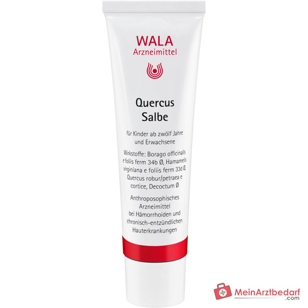 WALA Salvia di Quercia, 30 g
