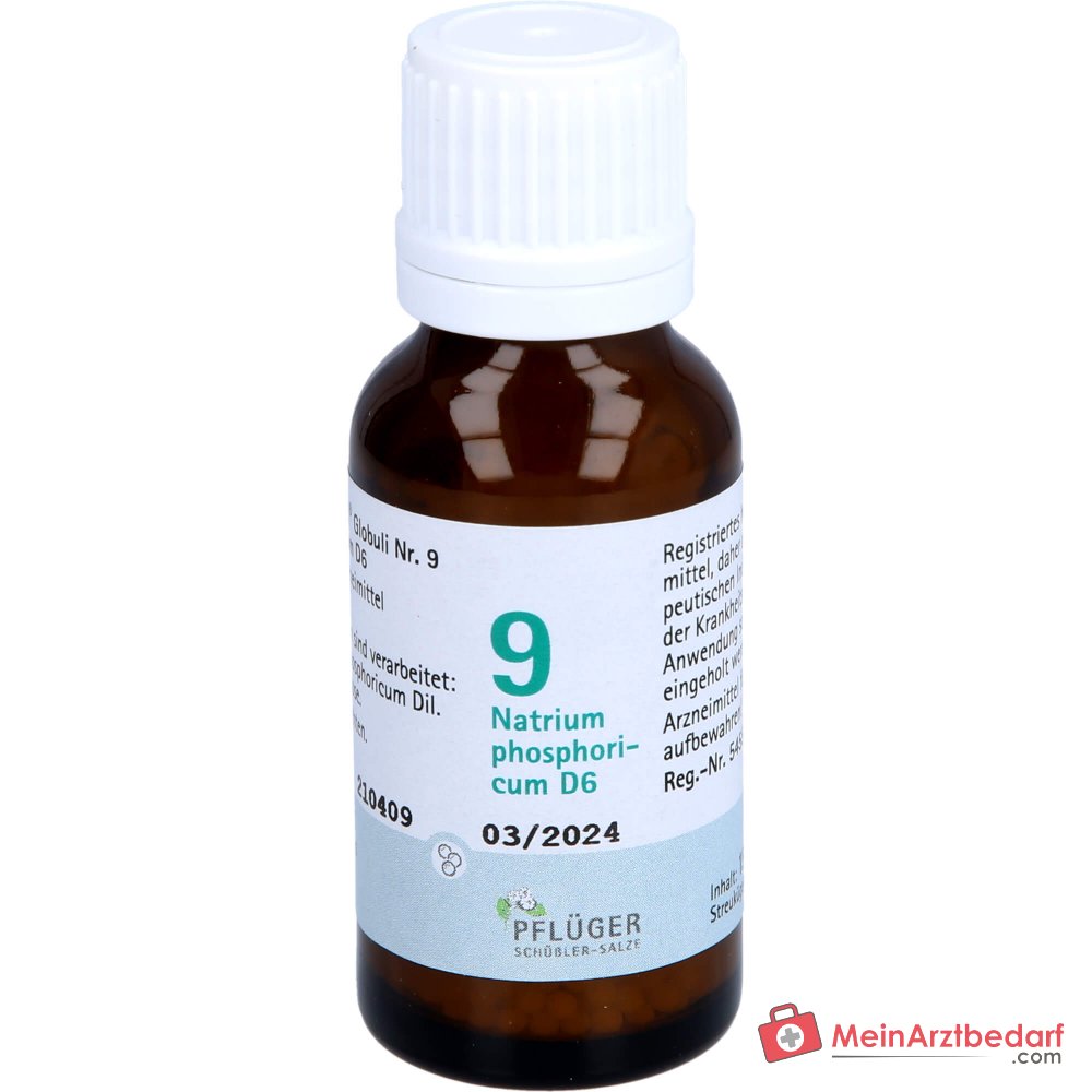 BIOCHEMIE FAMILIALE No 9 Natrium phosphoricum D6 médicament homéopathique