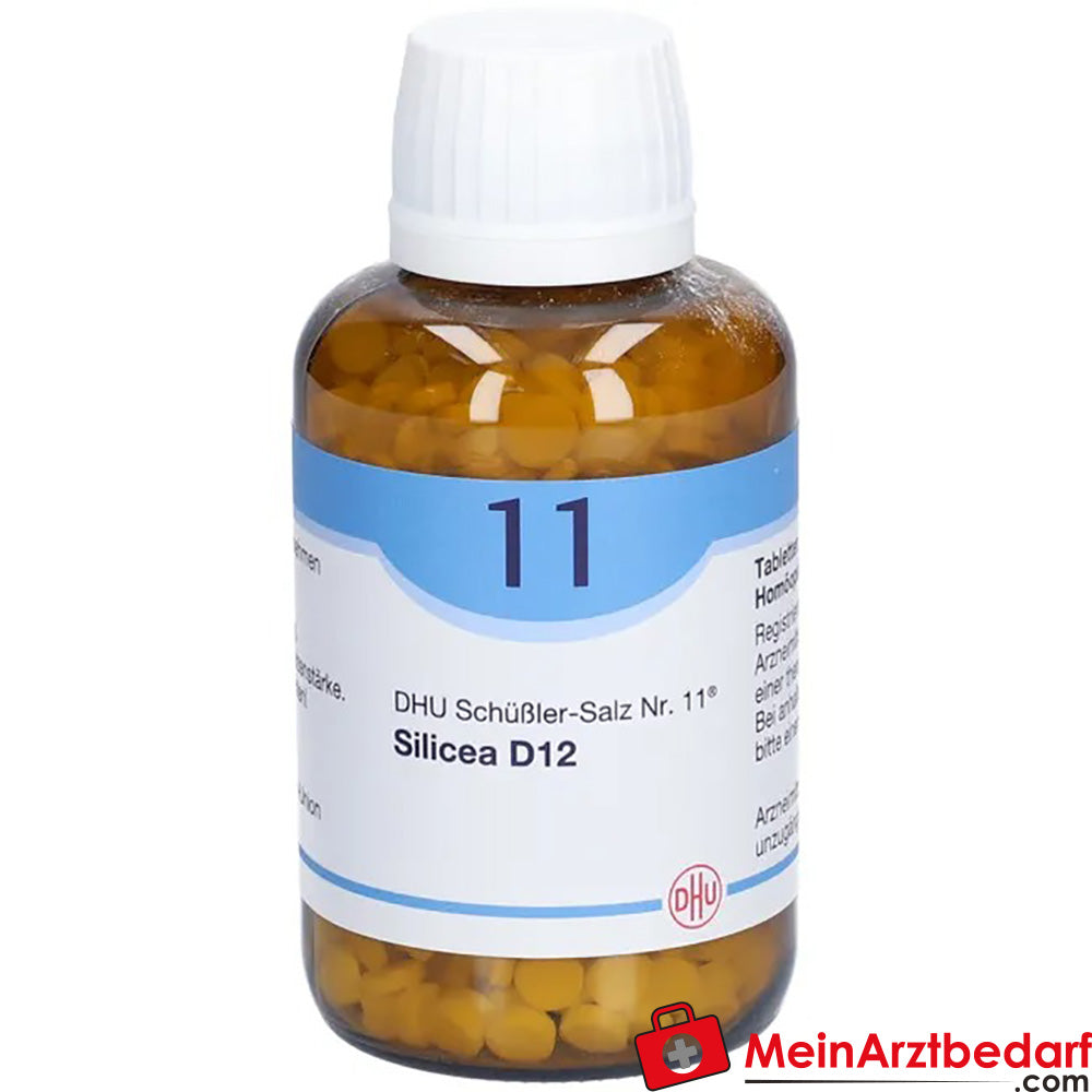 DHU Schuessler Zout nr. 11 Silicea D12 Acidum silicicum 250 mg Tabletten