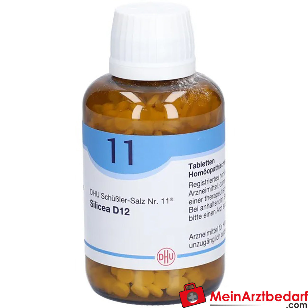 DHU Schuessler Zout nr. 11 Silicea D12 Acidum silicicum 250 mg Tabletten