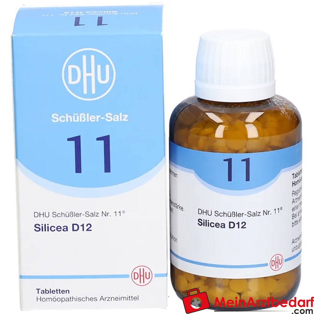 DHU Schuessler Zout nr. 11 Silicea D12 Acidum silicicum 250 mg Tabletten