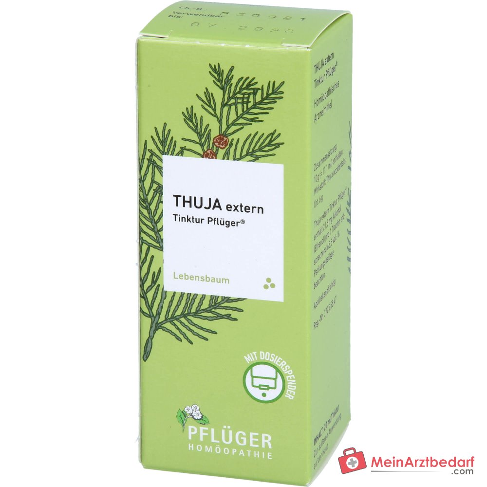 Pflüger Thuja esterno tintura Thuja occidentalis tintura madre, 20 ml