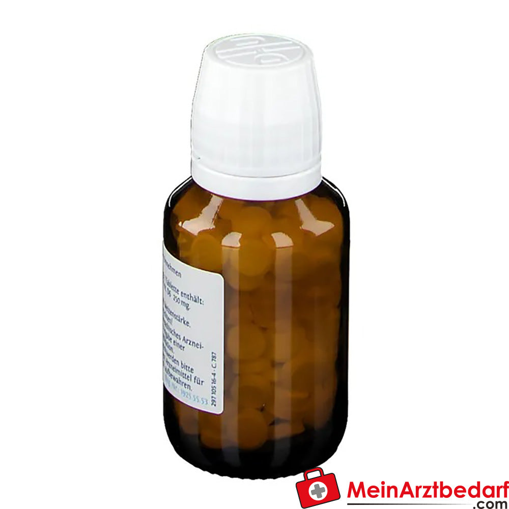 DHU Schüßler-Salz Nr. 6® Kalium sulfuricum D6.