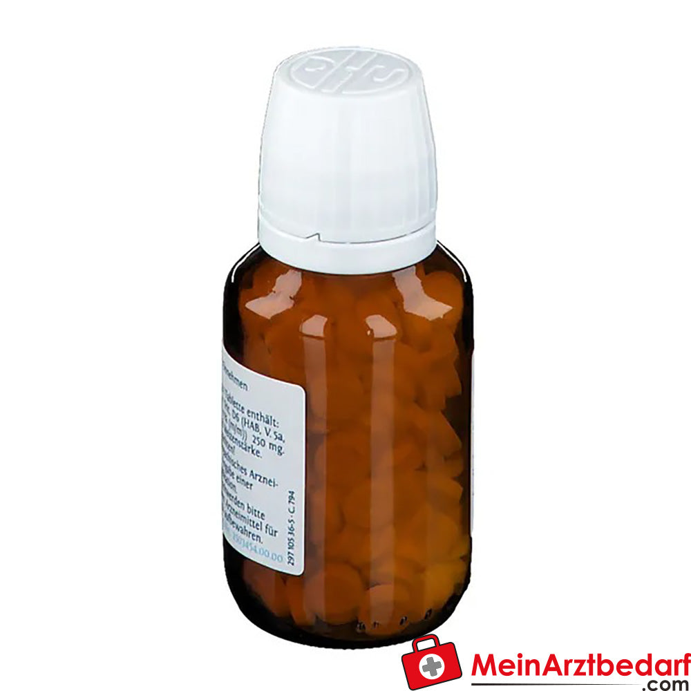 DHU Biochemie 13 Kalium arsenicosum D6.