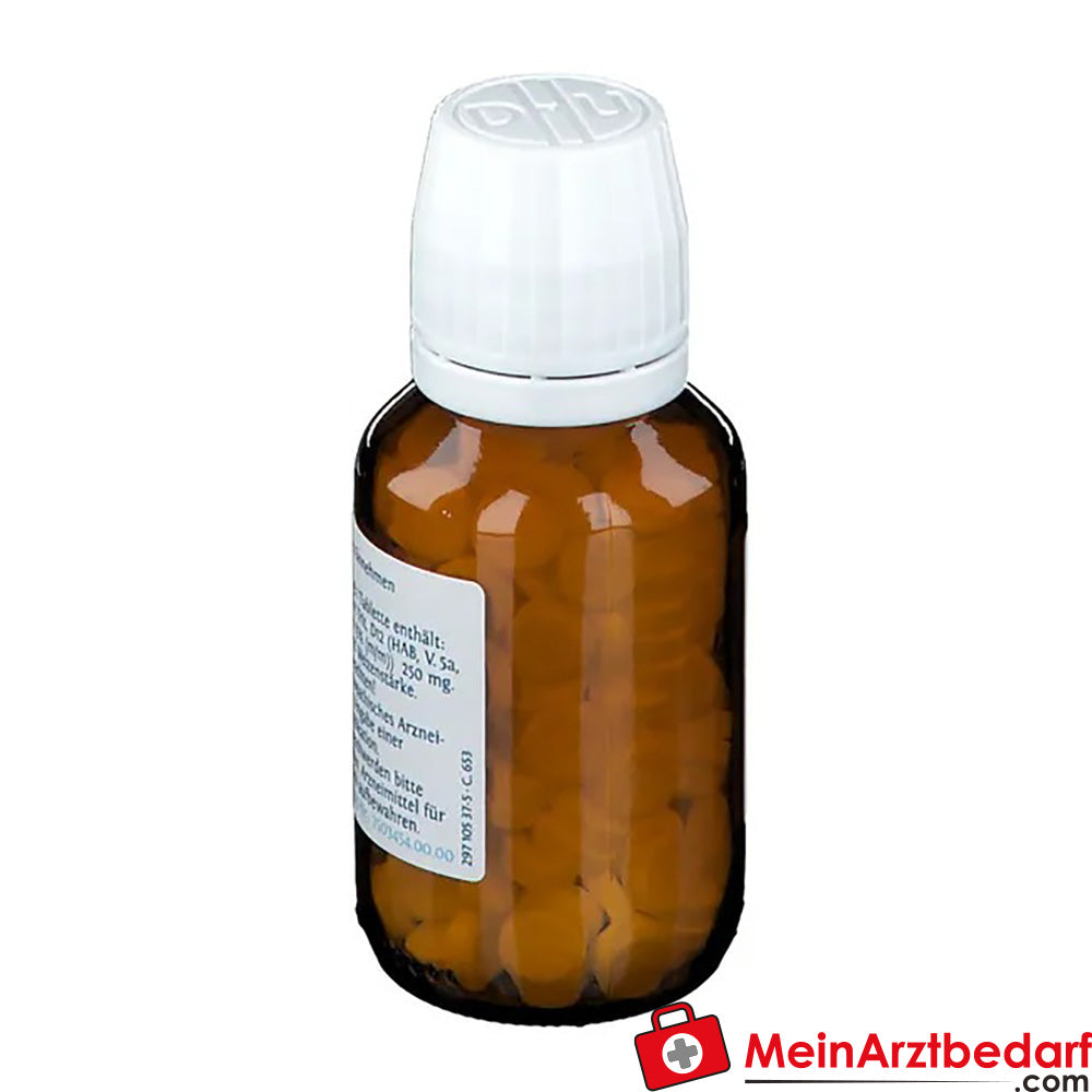DHU Biochemie 13 Kalium arsenicosum D12.