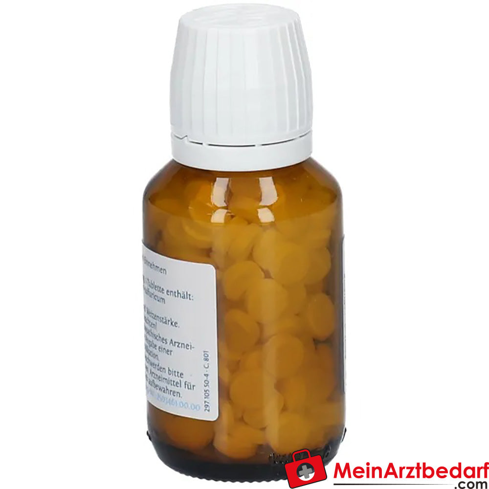 DHU Biochemie 20 Kalium aluminium sulfuricum D6.