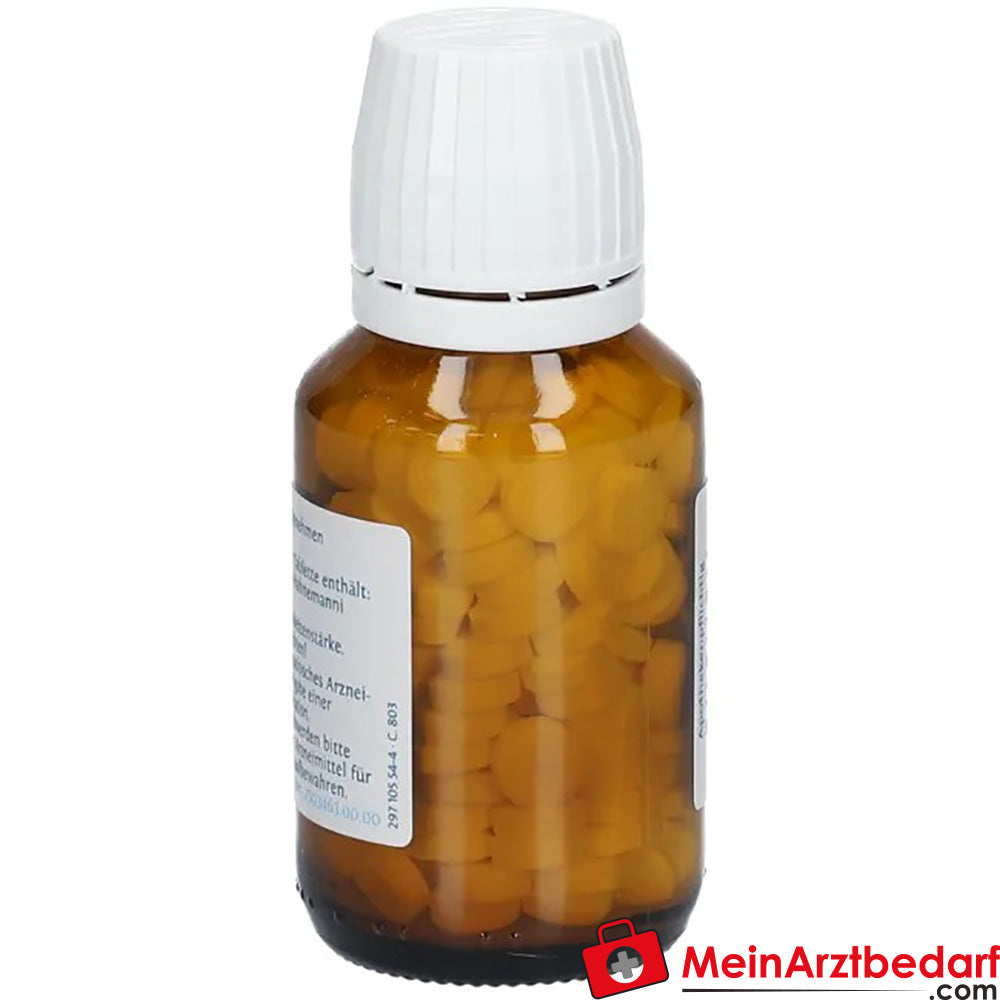 DHU Biochemie 22 Calcium carbonicum D6 250 mg Tabletten
