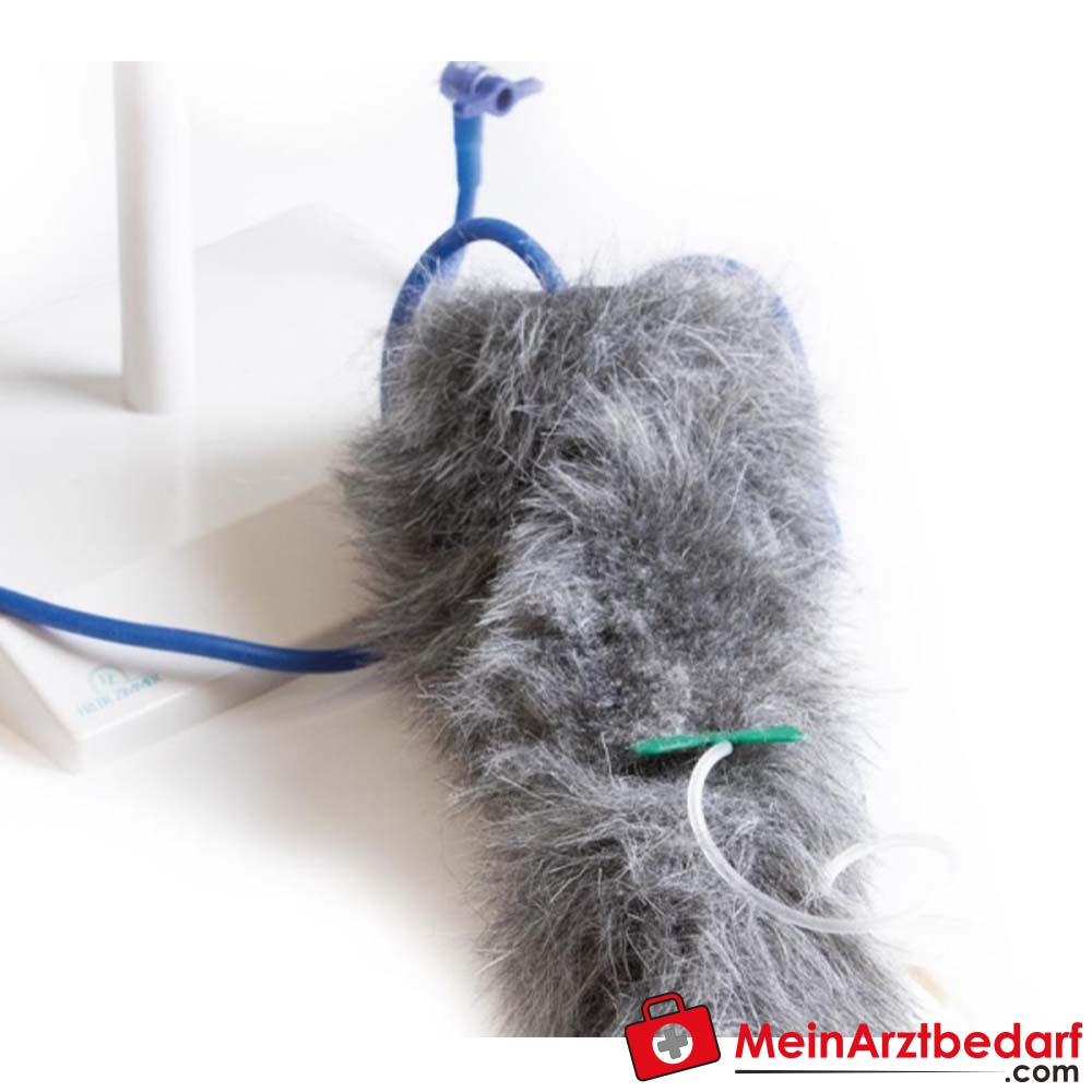 Erler-Zimmer I.V. Injektionsbein Hund.