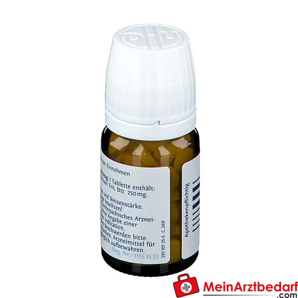 DHU Biochemie 12 Calcium sulphuricum D12 250 mg tabletten