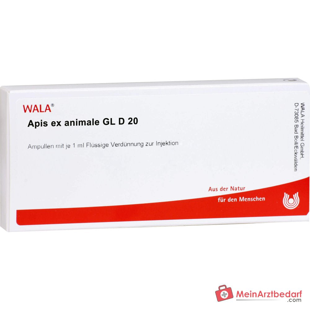 WALA Apis ex animal Gl D20 Apis mellifica ex animal entier Ampoules, 10 x 1 ml