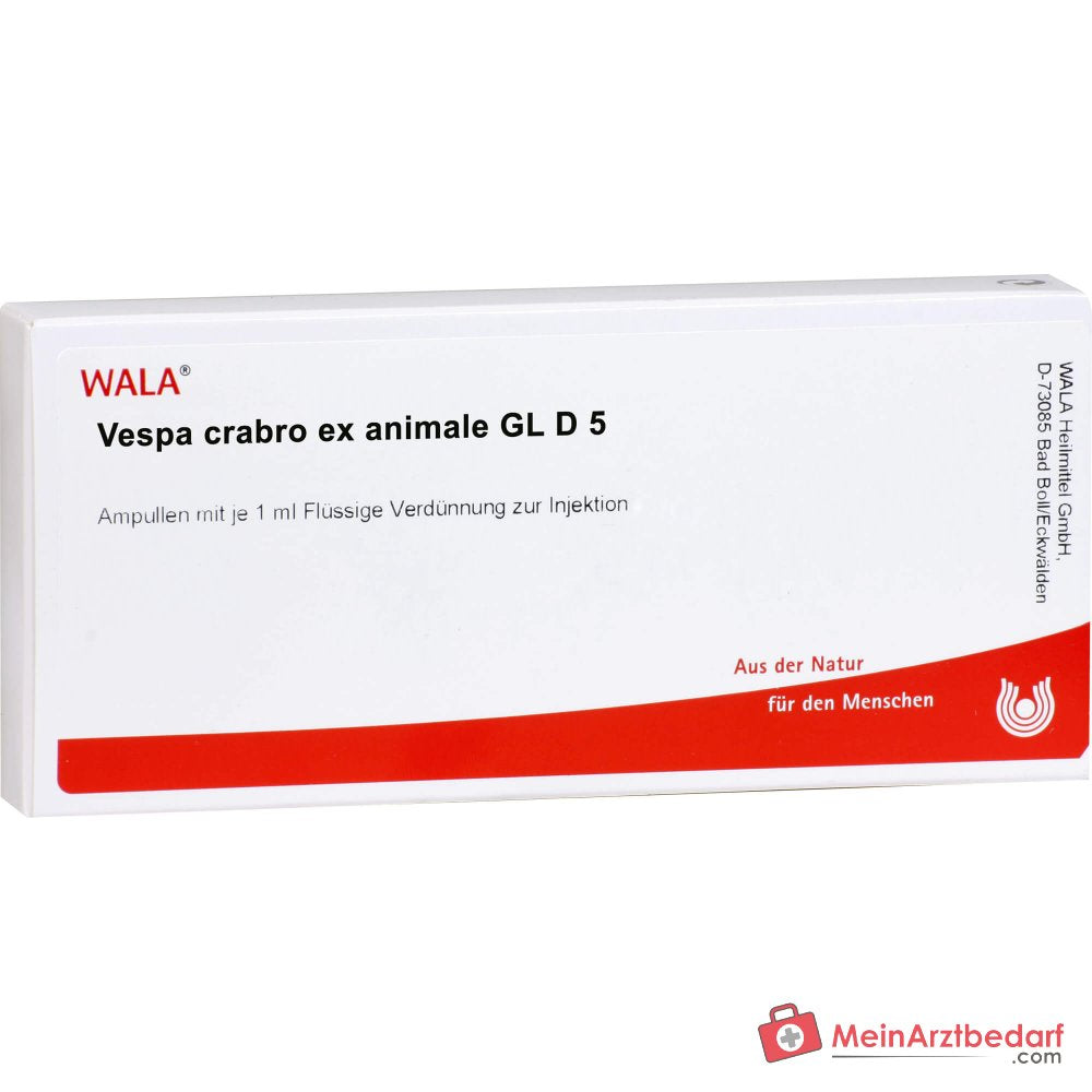 WALA Vespa Crabro ex animale Gl D5, 10 x 1 ml ampułki