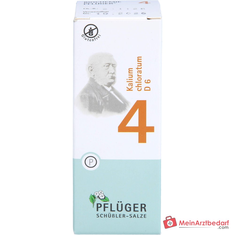 Biochemie Pflüger Nr. 4 Kalium chloratum D6 Tabletten 100 Stück
