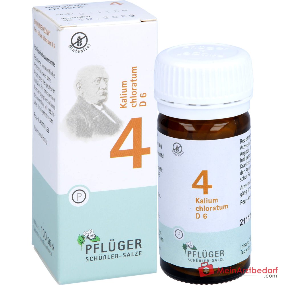 Biochemie Pflüger Nr. 4 Kalium chloratum D6 Tabletten 100 Stück