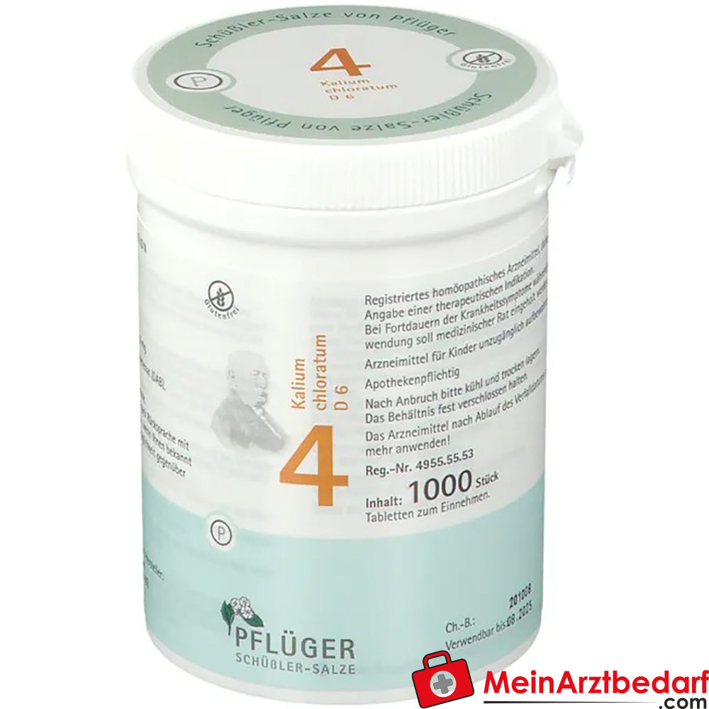 Biochemie Pflüger Nr. 4 Kalium chloratum D6 Tabletten 100 Stück