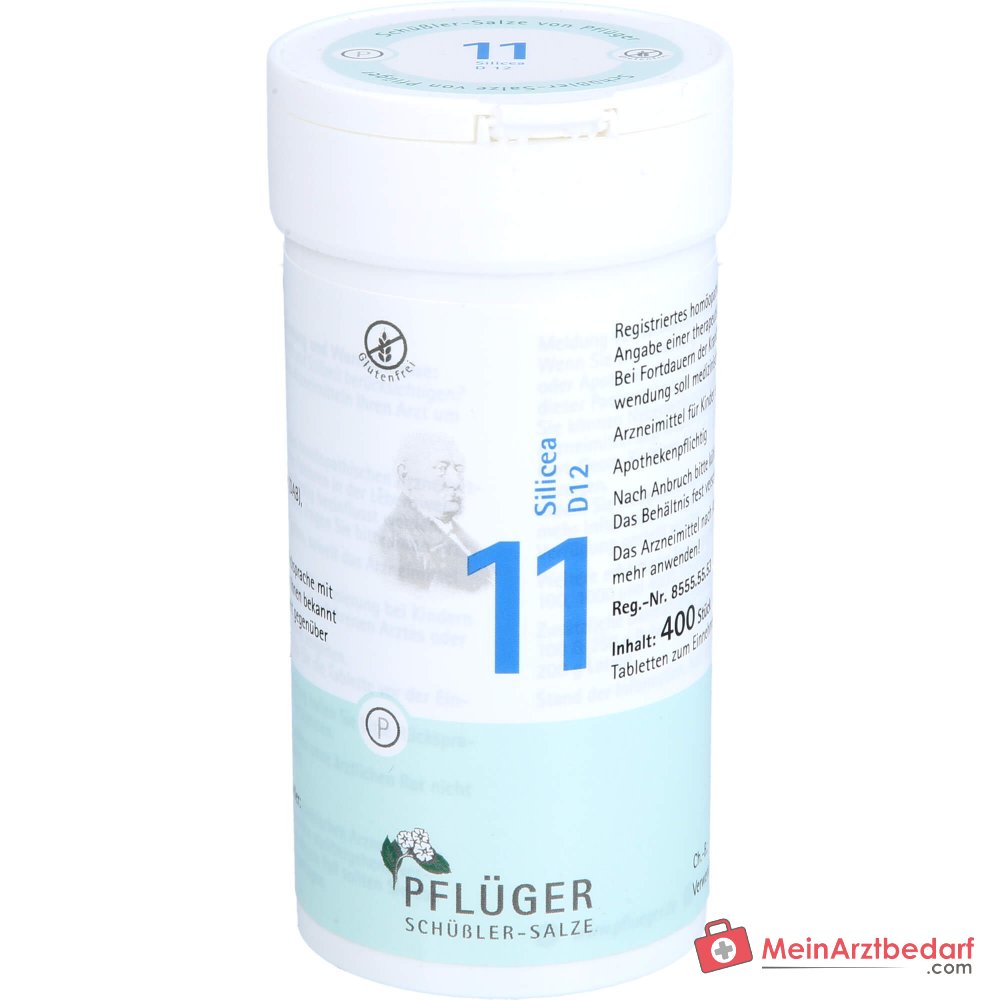 Biochemie Pflüger Nr. 11 Silicea Acidum silicicum D12 Tabletten, 100 St.