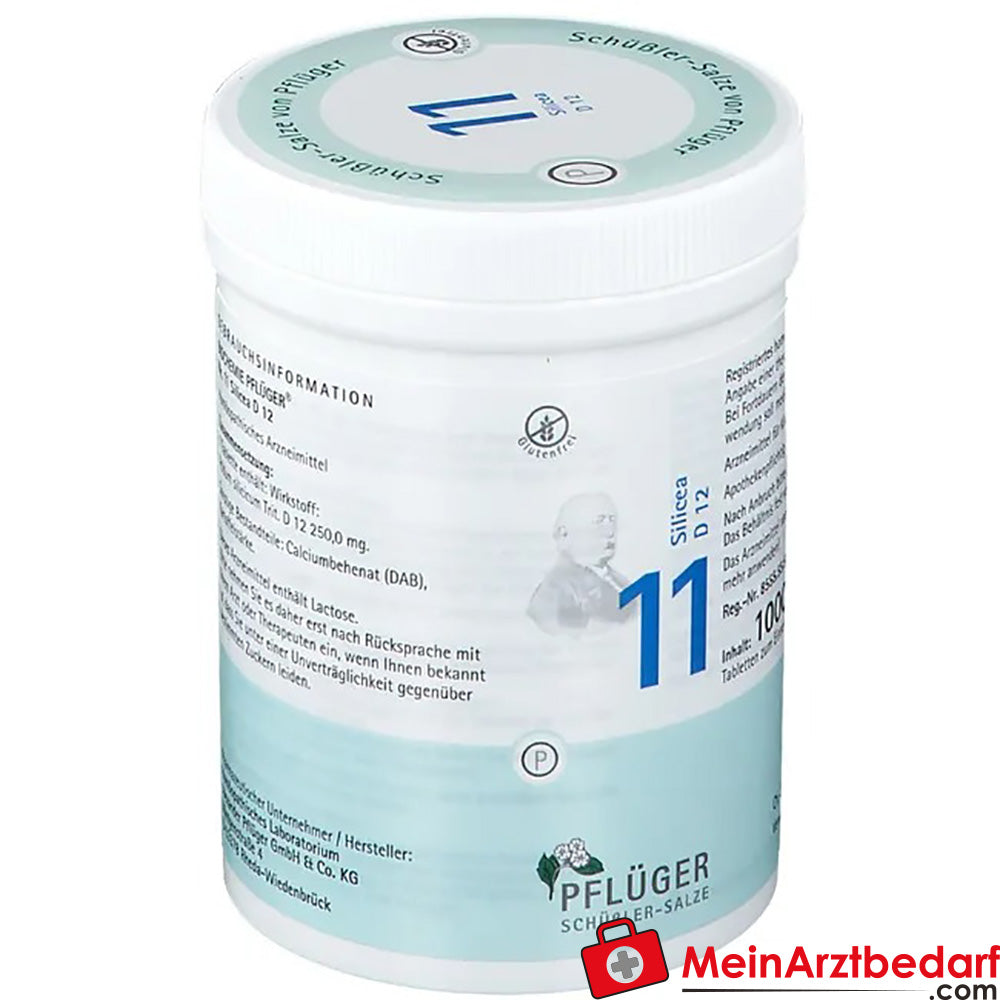 Biochemie Pflüger Nr. 11 Silicea Acidum silicicum D12 Tabletten, 100 St.