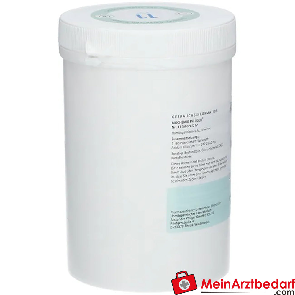 Biochemie Pflüger Nr. 11 Silicea Acidum silicicum D12 Tabletten, 100 St.