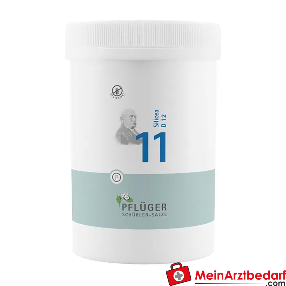 Biochemie Pflüger Nr. 11 Silicea Acidum silicicum D12 Tabletten, 100 St.