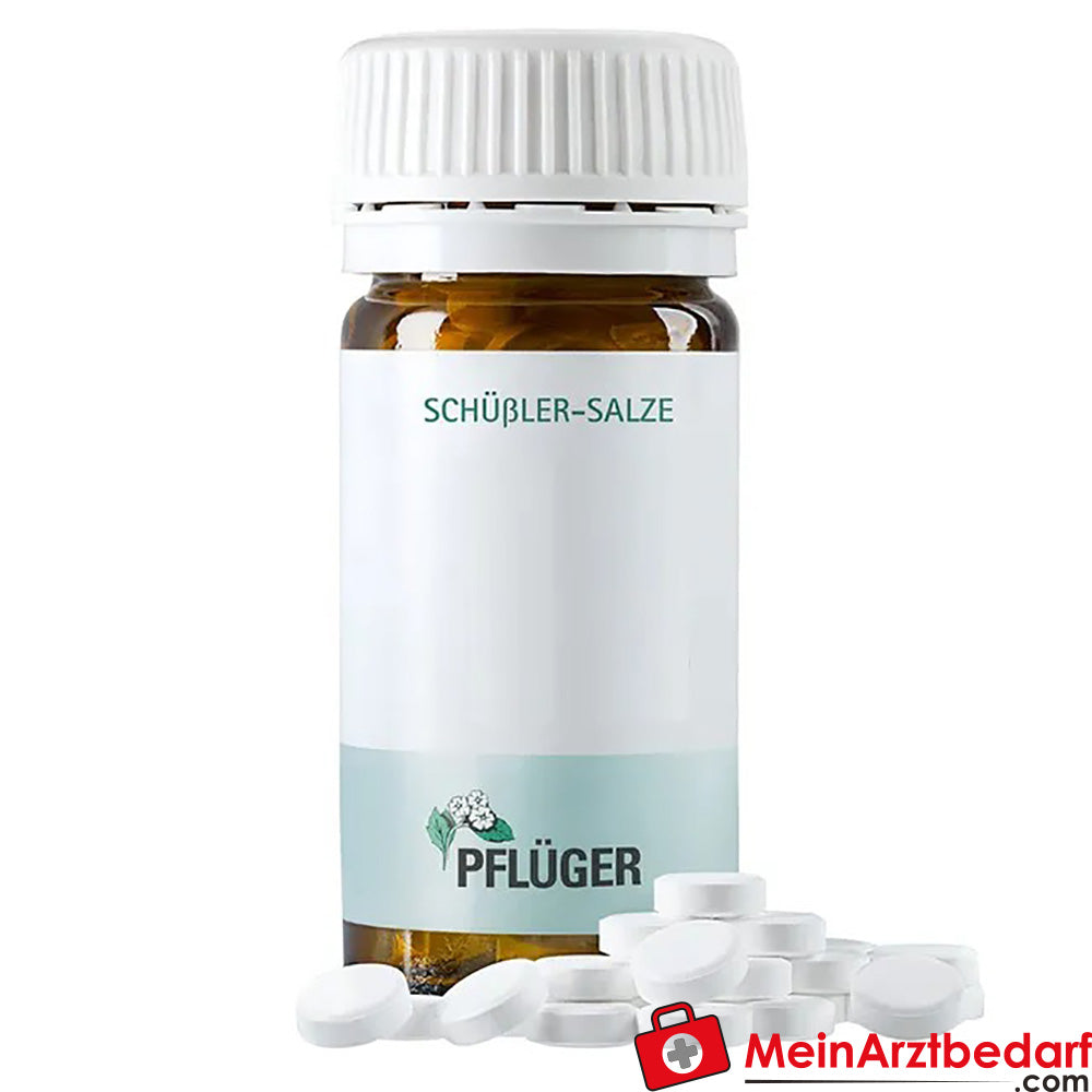 Biochemie Pflüger® Nr. 17 Manganum sulfuricum D6 Tabletten.