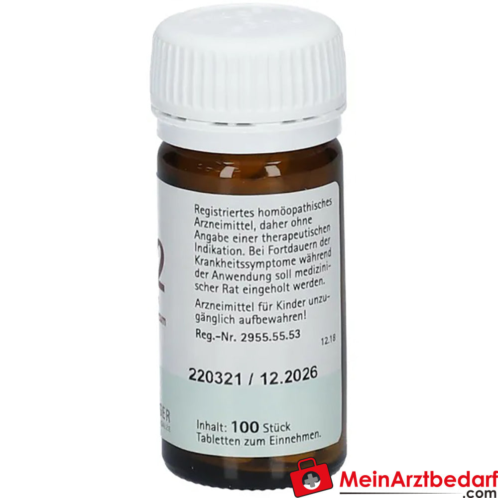 Biochemie Pflüger® Nr. 22 Calcium carbonicum D6 Tabletten.