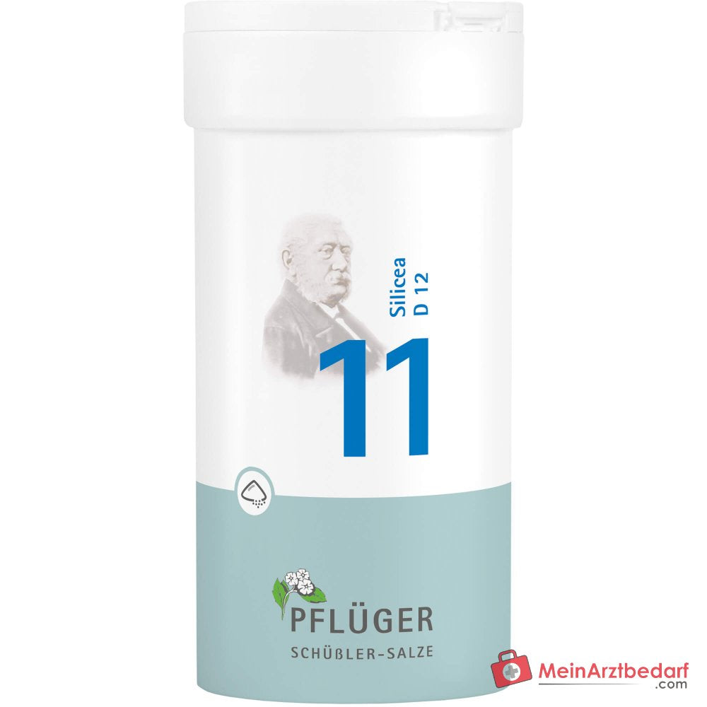 Biochemie Pflüger® N° 11 Silicea D12 poudre 1000 mg