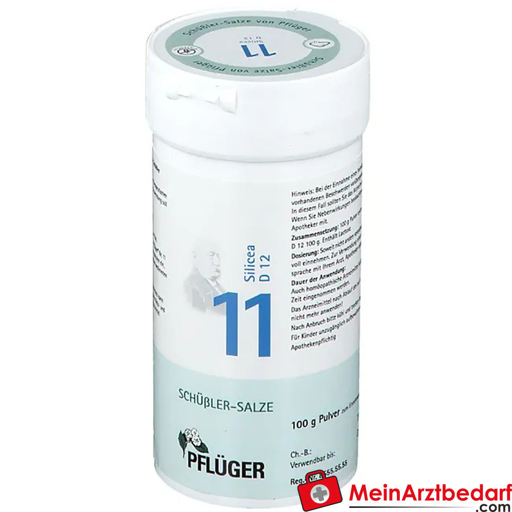 Biochemie Pflüger® Nr. 11 Silicea D12 Pulver.