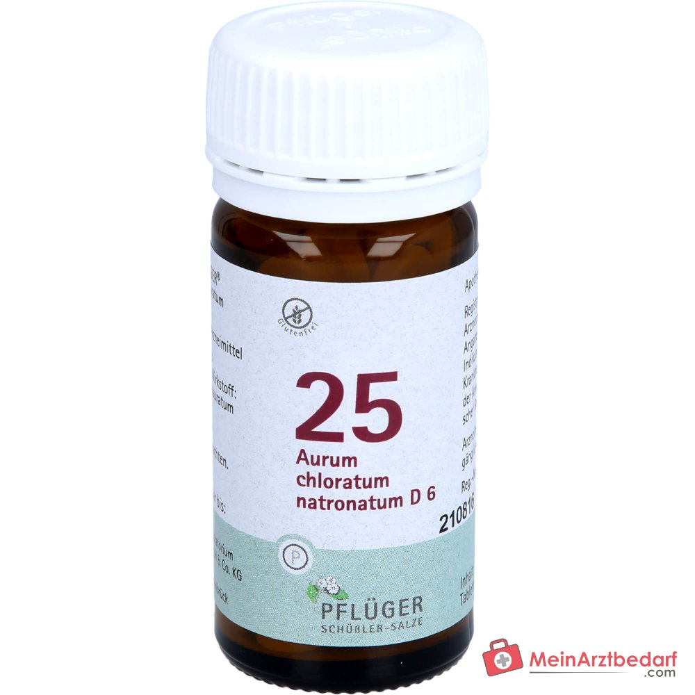 Biochemie Pflüger Aurum chloratum natronatum D6 Comprimés 250 mg, 100 pièces