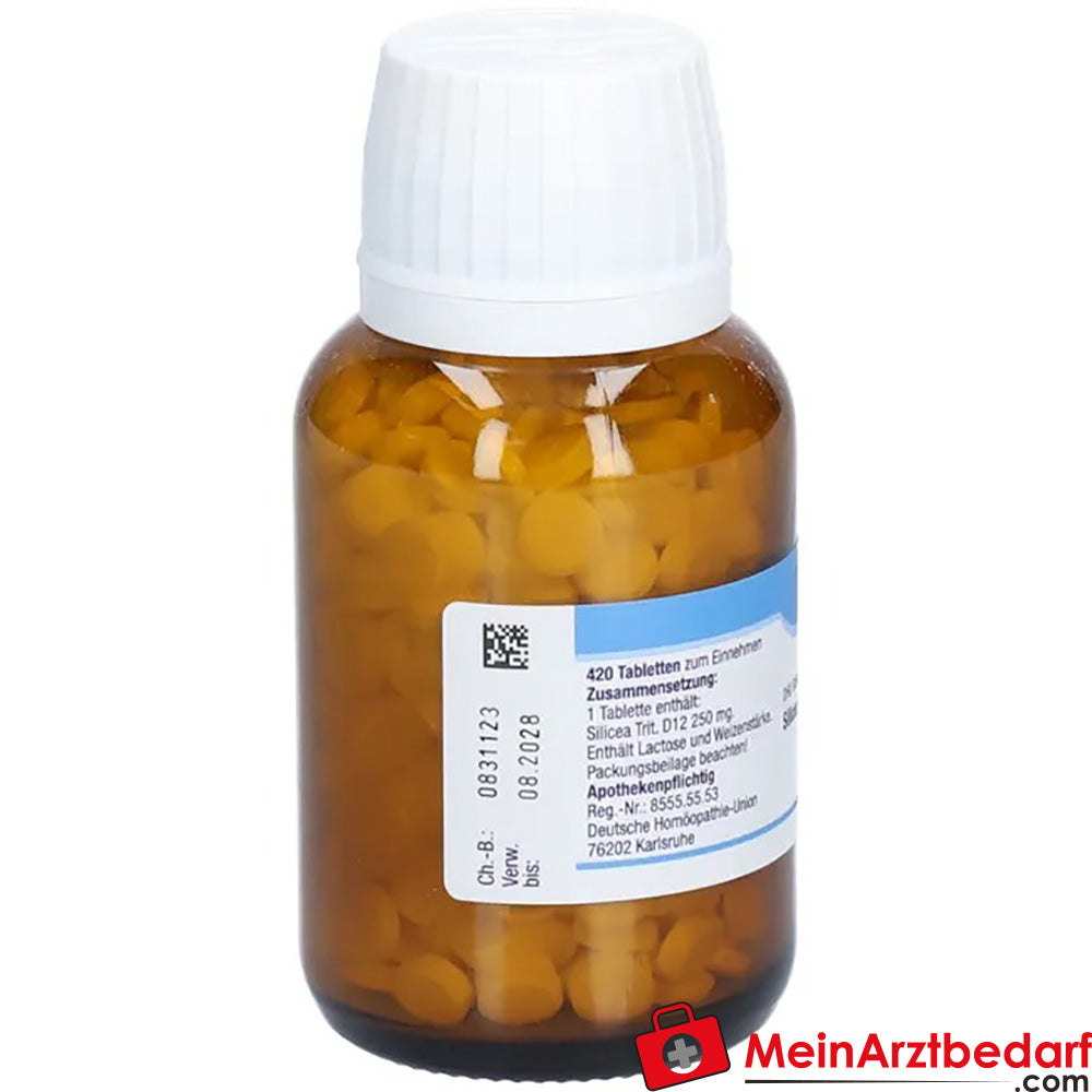 DHU Schuessler Zout nr. 11 Silicea D12 Acidum silicicum 250 mg Tabletten