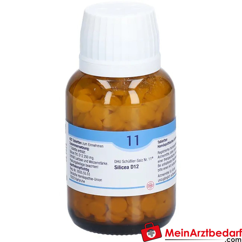DHU Schuessler Zout nr. 11 Silicea D12 Acidum silicicum 250 mg Tabletten
