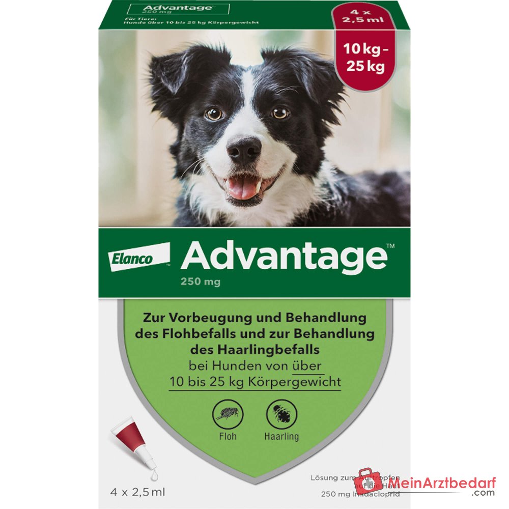 Advantage 250 Elanco hond 100 mg imidacloprid spot-on oplossing 4 stuks