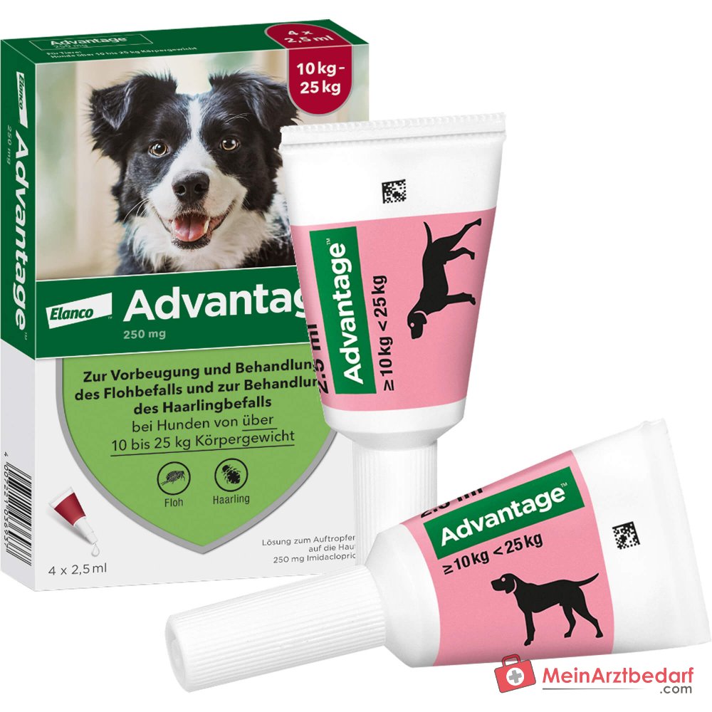 Advantage 250 Elanco hond 100 mg imidacloprid spot-on oplossing 4 stuks