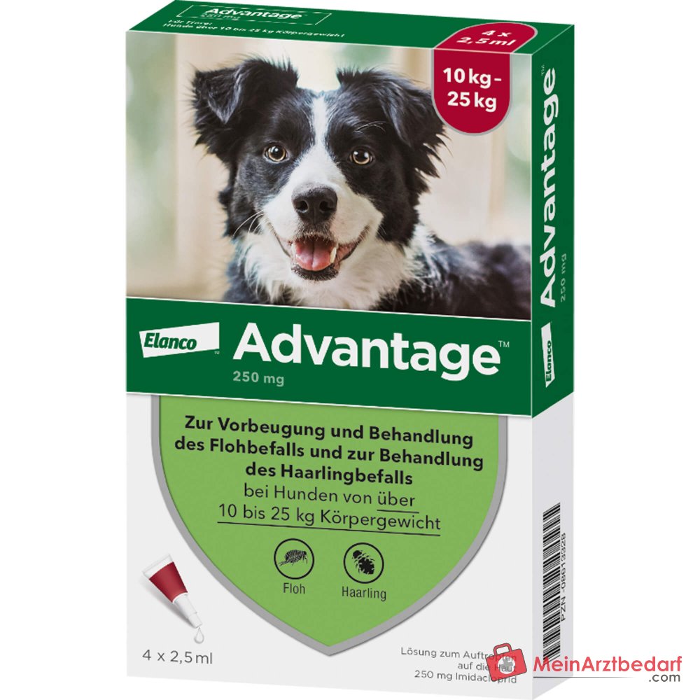 Advantage 250 Elanco hond 100 mg imidacloprid spot-on oplossing 4 stuks