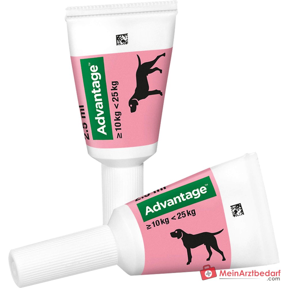 Advantage 250 Elanco hond 100 mg imidacloprid spot-on oplossing 4 stuks