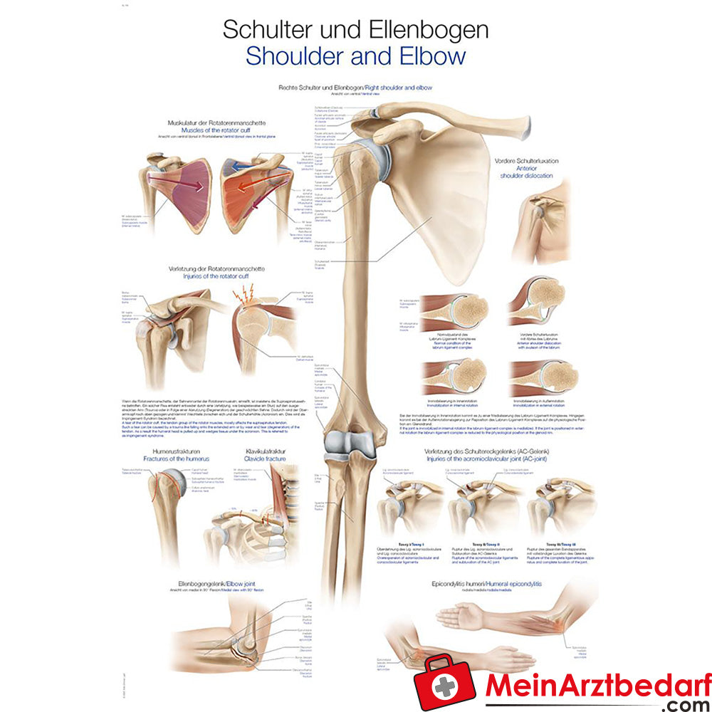 Erler-Zimmer Lehrtafel