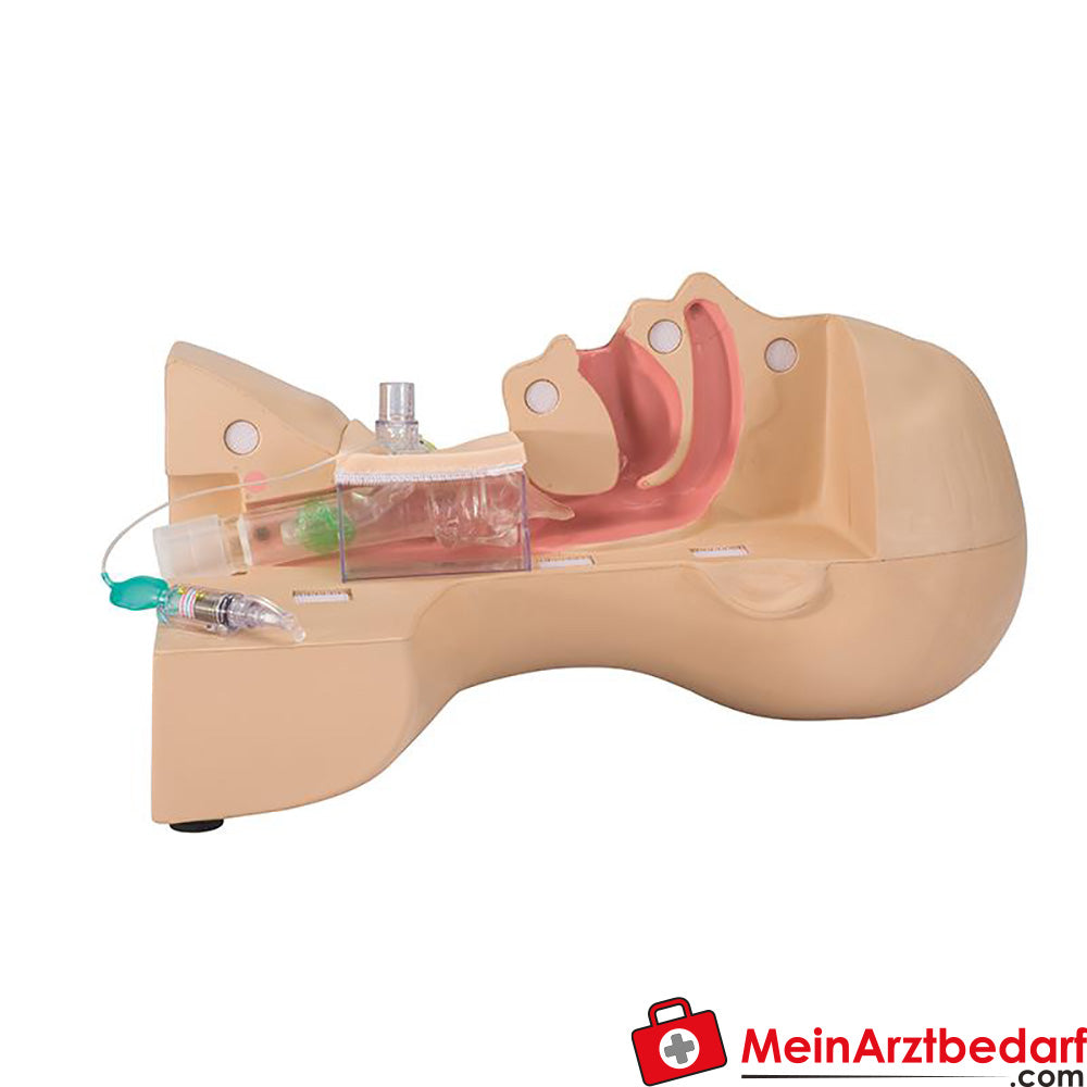 Erler-Zimmer Tracheostomie Management Simulator.