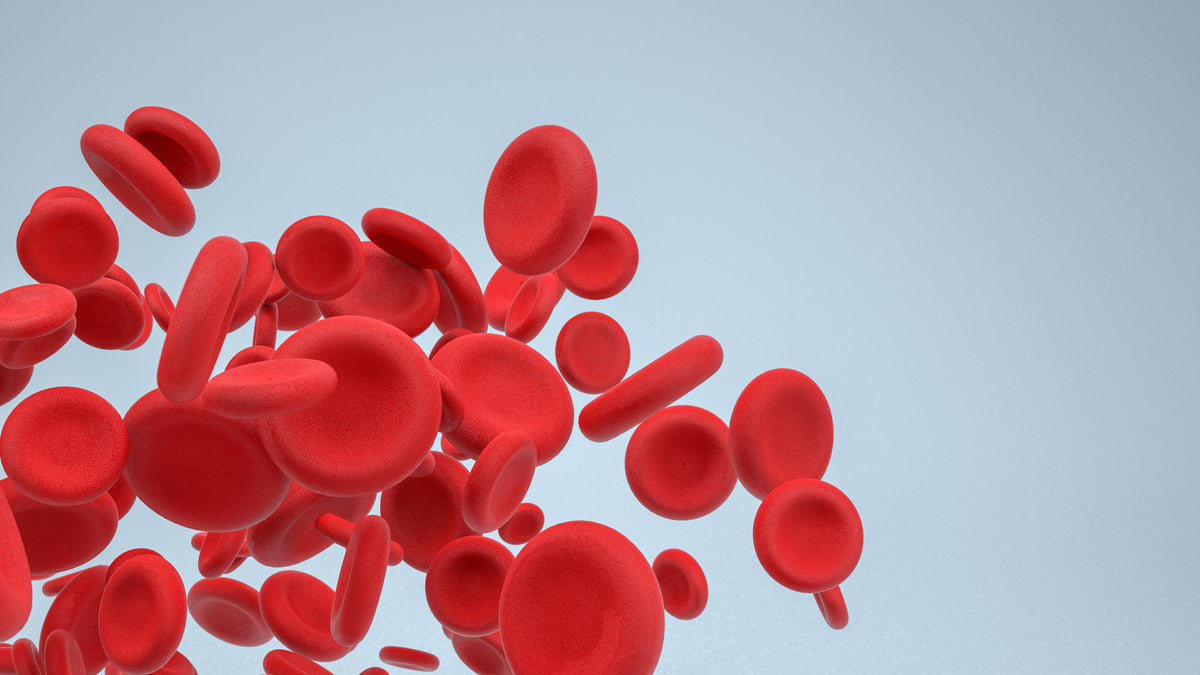 Veri-Q-Red Hämoglobin-Messgerät und Teststreifen: Ein Paradigmenwechsel in der Hämoglobinüberwachung