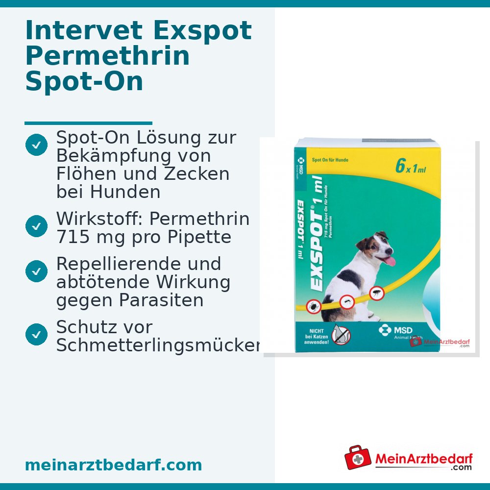 Exspot vet Permethrin 715 mg/ml Spot-on Lösung für Hunde 6 x 1 ml