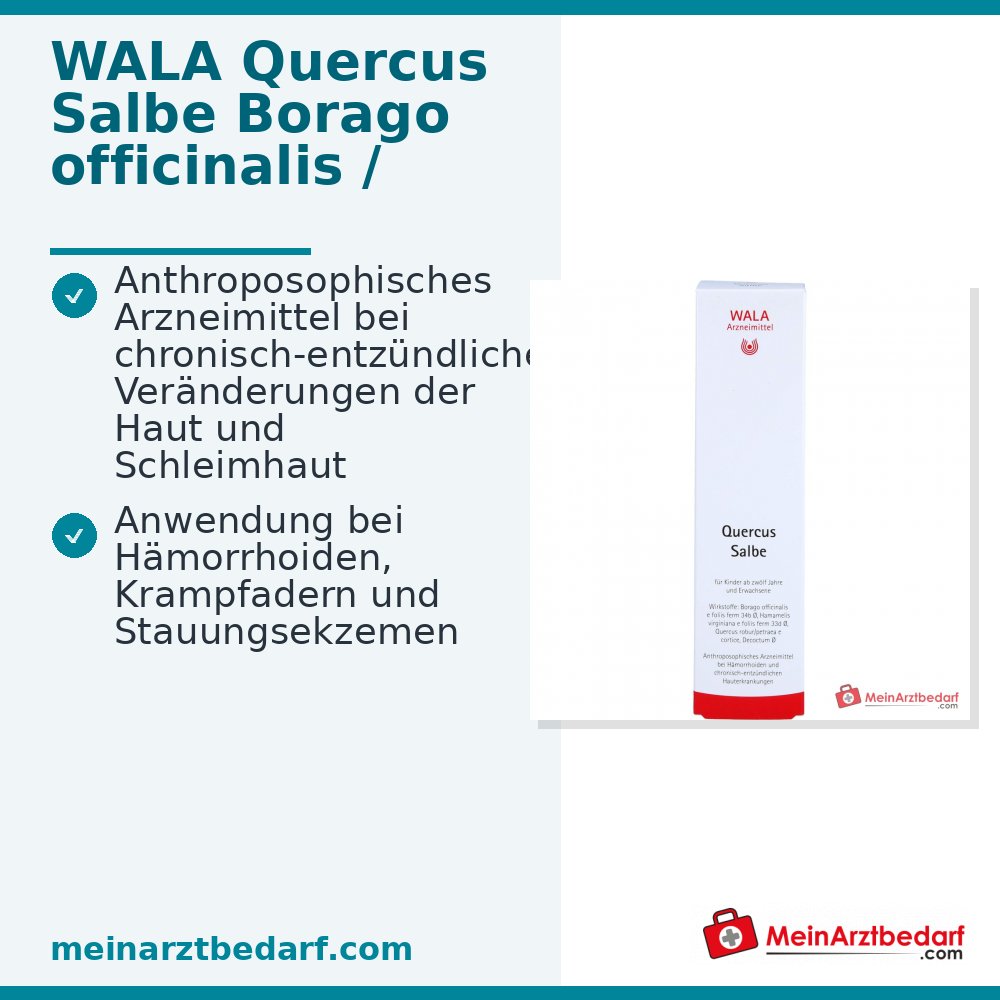 WALA Pommade au chêne, 100 g