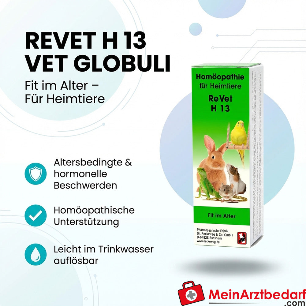 Apósito H 13 vet 10 g