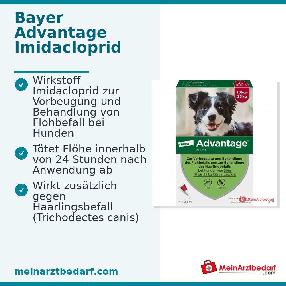 Advantage 250 Elanco hond 100 mg imidacloprid spot-on oplossing 4 stuks